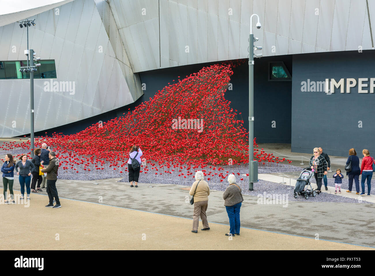 Mohn: Wave, von Paul Cummins und Tom Piper, im Imperial War Museum North, Salford Quays, Manchester, UK Stockfoto