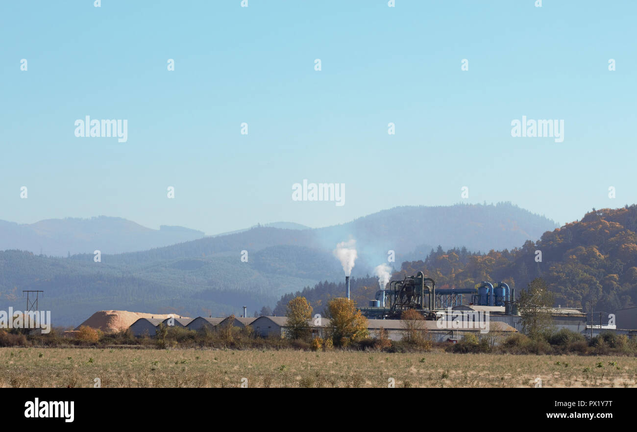 Eine Fabrik in Oregon Willamette Valley produziert Holzpellets, ein Brennstoff im pelletofen Industrie verwendet. Stockfoto