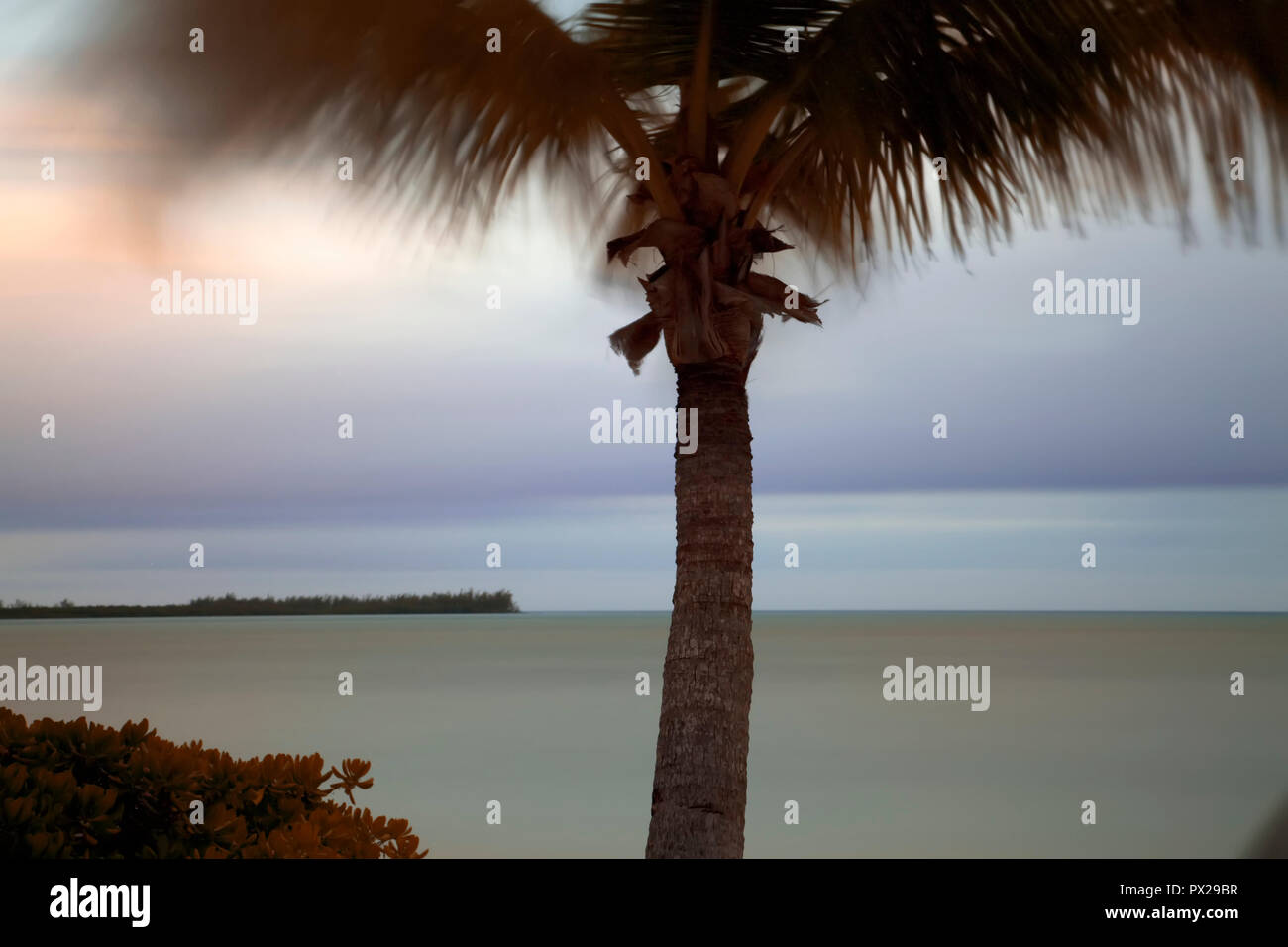 Palmen bei Sonnenuntergang auf der Insel Abaco in den Bahamas. Stockfoto