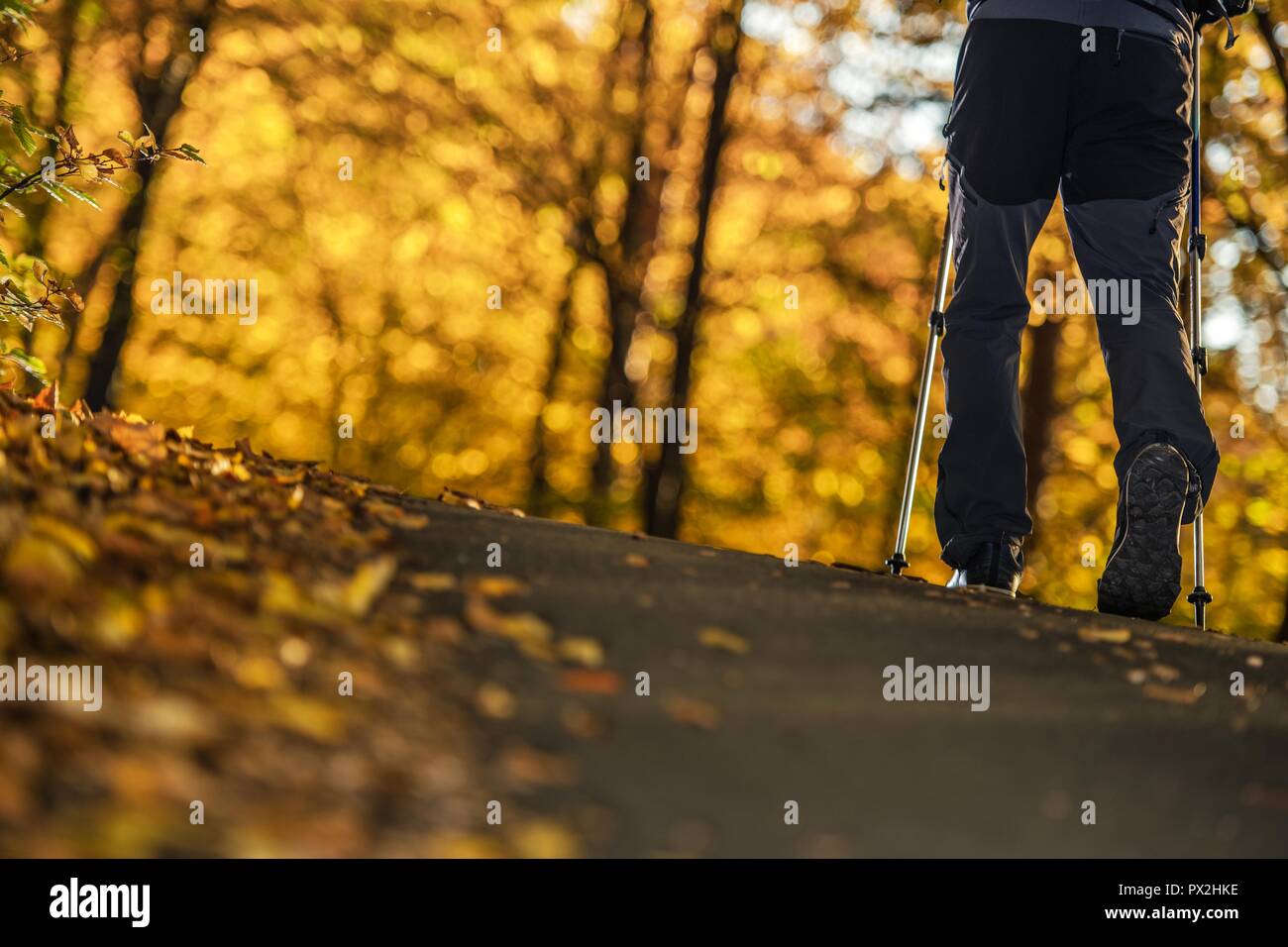 Herbst Laub der Landschaft und den Wanderer mit Nordic Walking Stöcken. Unteren Körperteil Nahaufnahme. Stockfoto