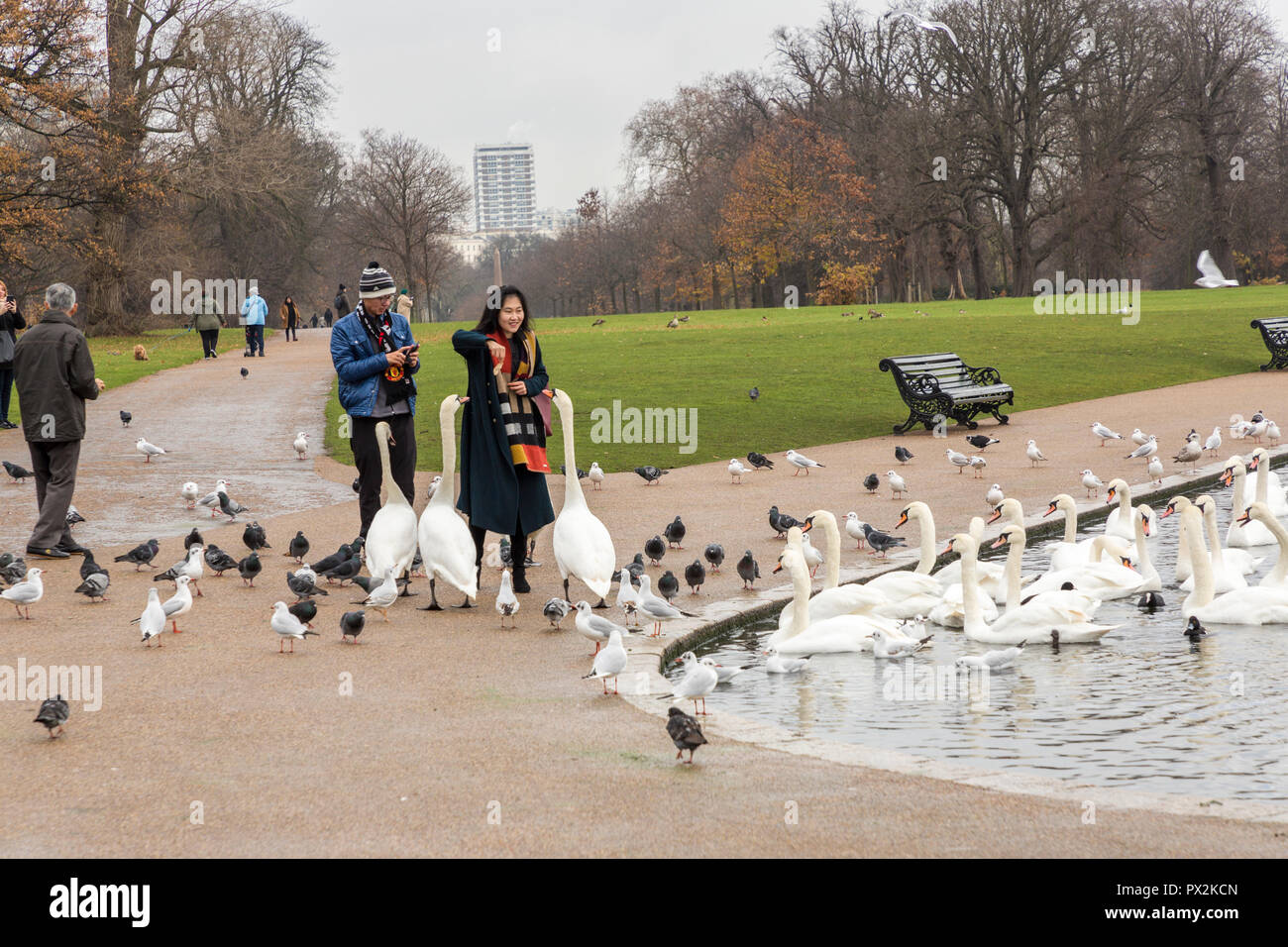 Das Füttern der Vögel im Park Kensington Gardens, London Stockfoto