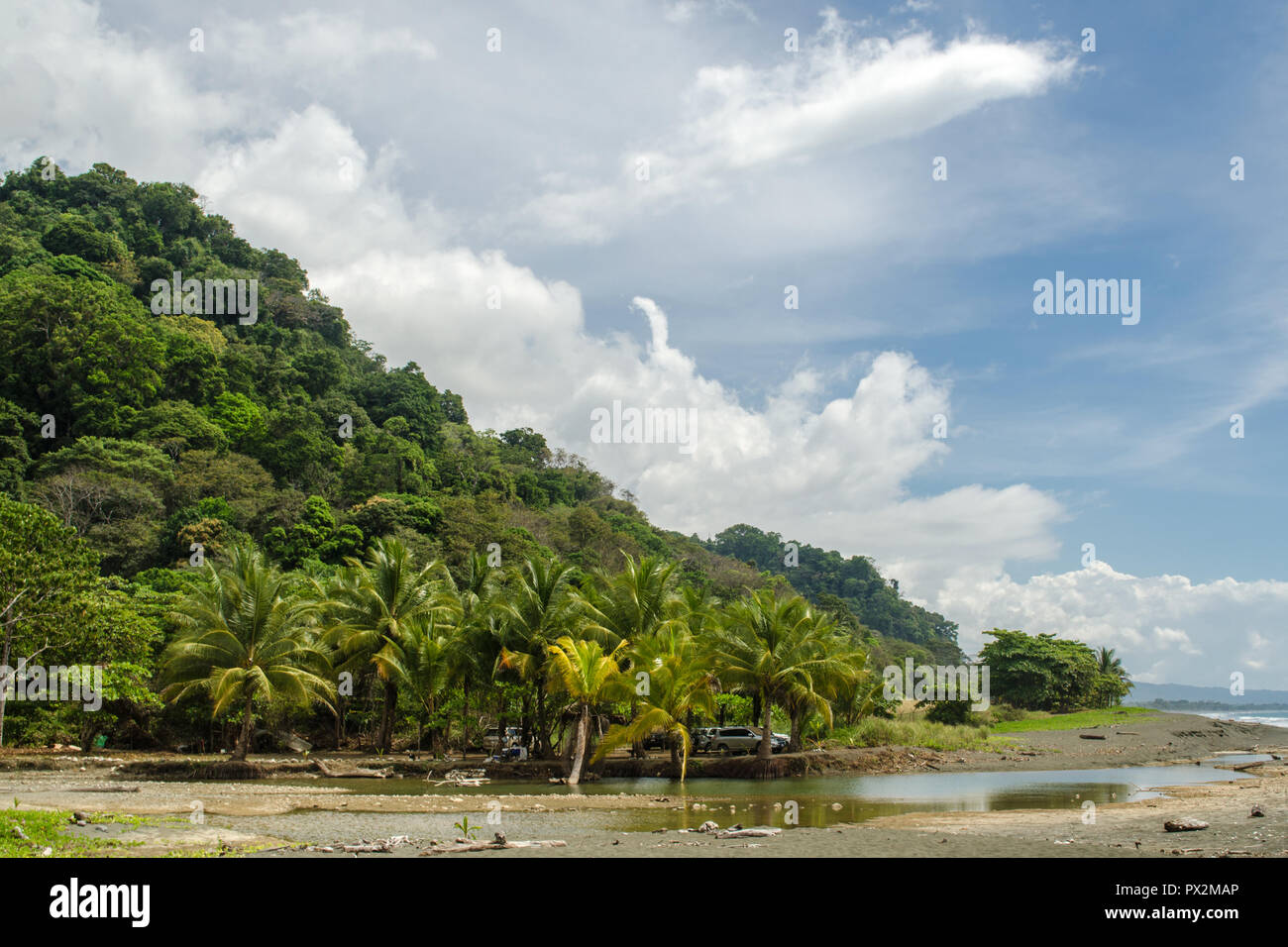 Corcovado Nationalpark, tropischen Regenwald - Costa Rica Stockfoto