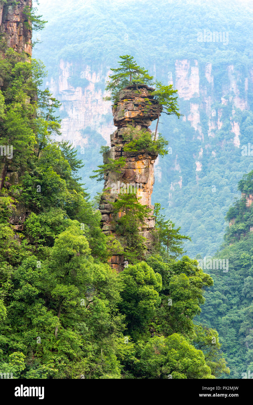 Sandstein Berge von der Strecke der 10 Km natürliche Galerie angesehen Tianzi Berg. Landschaftspark Wulingyuan gelegen Scenic Area, Niagara-on-the-Lake, Hunan, China. Stockfoto