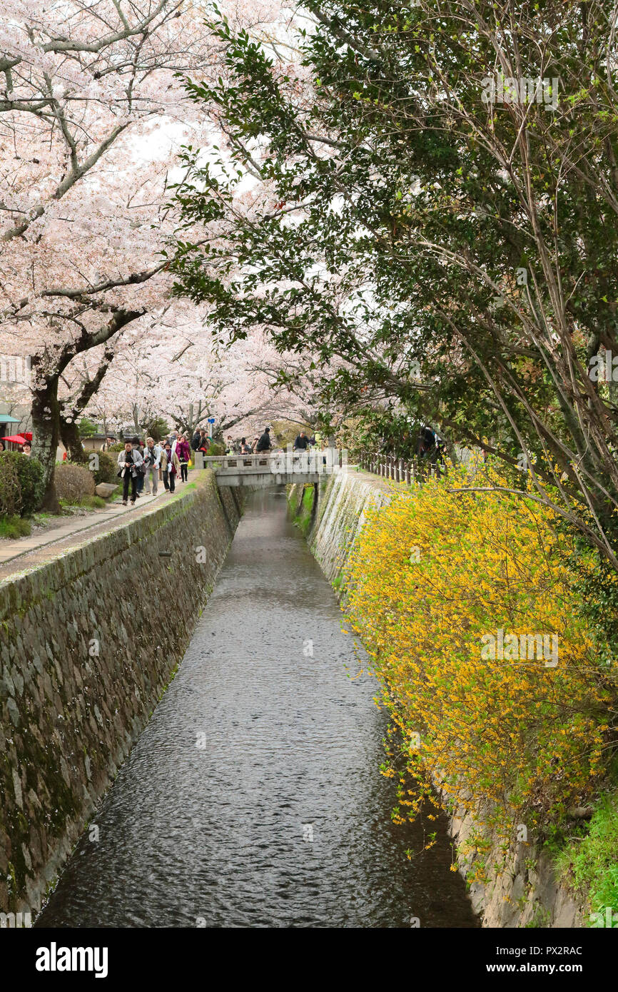 Die Philosophie der Straße in Kyoto, Feder Stockfoto