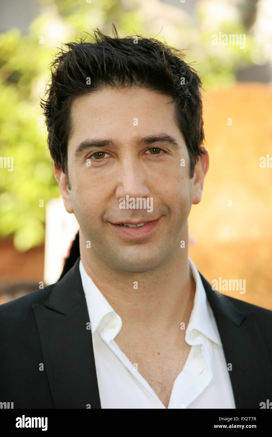 David Schwimmer 10/26/08 "Madagascar Escape 2 Africa" Premiere @ Mann Dorf Theater, Westwood Foto von Megumi Torii/HNW/PictureLux 26. Oktober 2008 Datei Referenz # 33686 298 HNWPLX Stockfoto