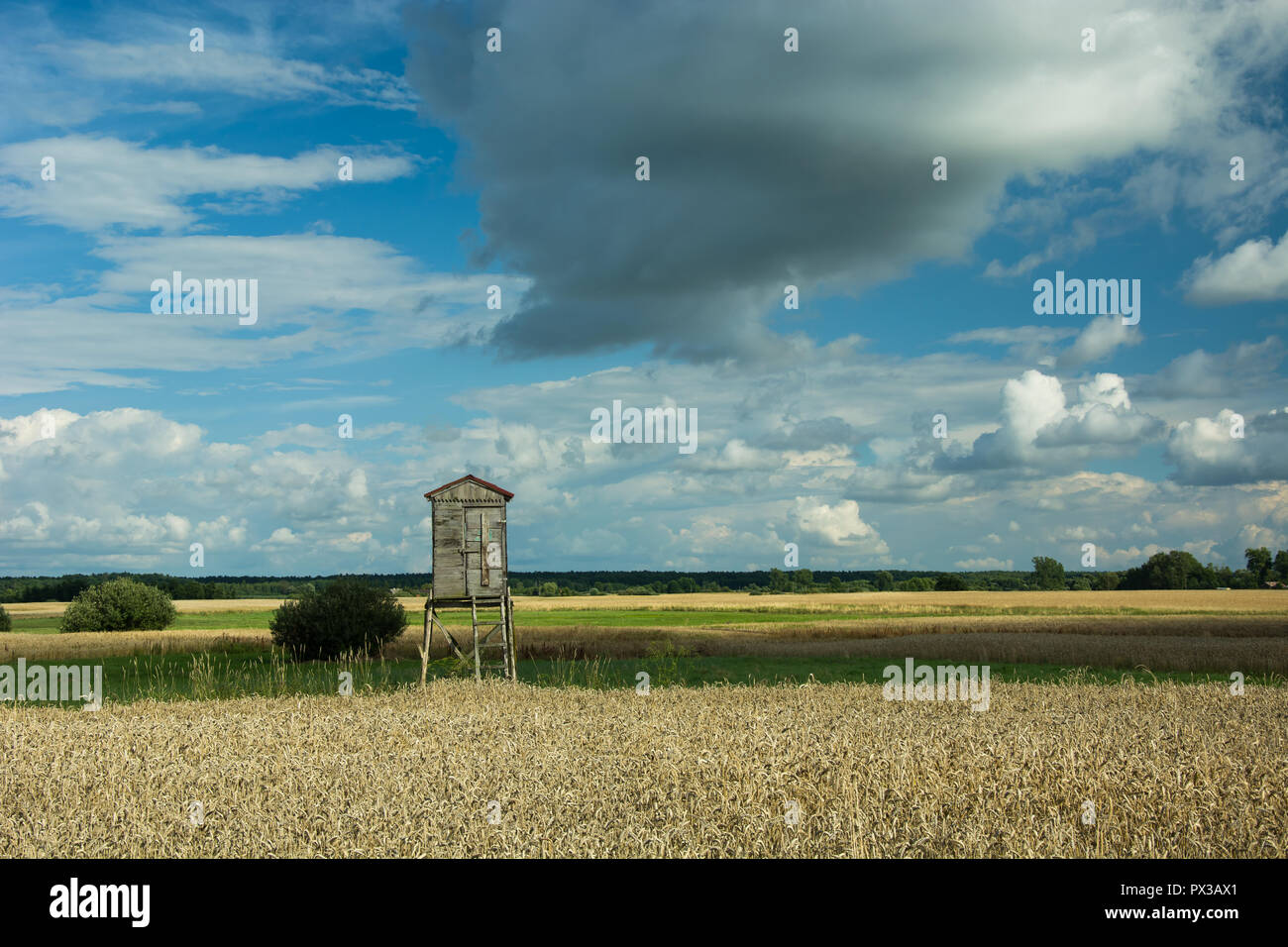 Tower für die Jagd im Feld und Wolken im Himmel Stockfoto