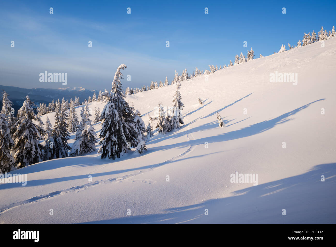 Berg Winter Landschaft mit Wald im Schnee Fichte. Sonniges Wetter frostigen Tag Stockfoto