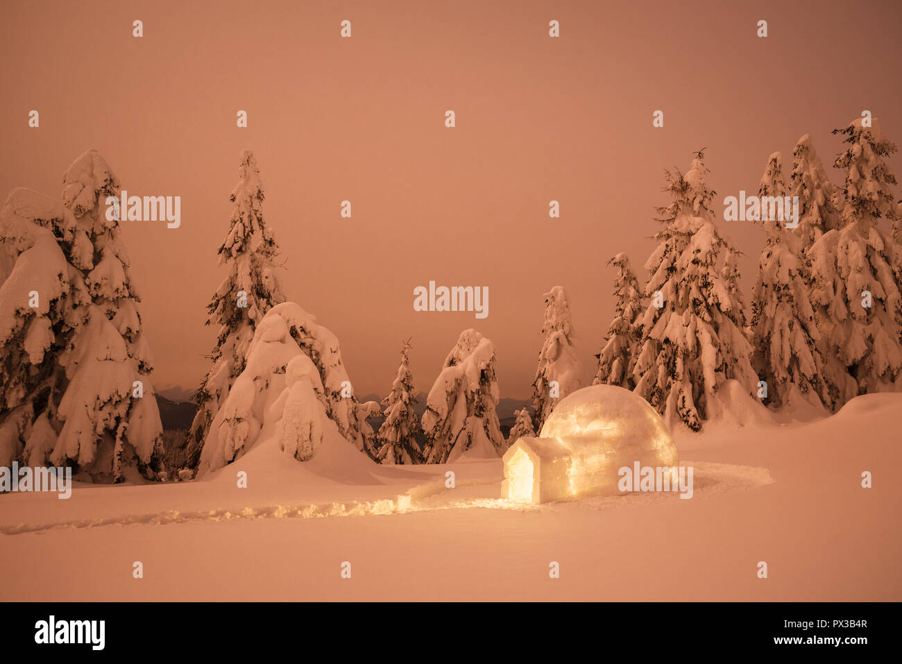 Schneeiglu. Winter in den Bergen. Nacht Landschaft mit schneeverwehungen nach Schneefall. Fichtenwald Stockfoto