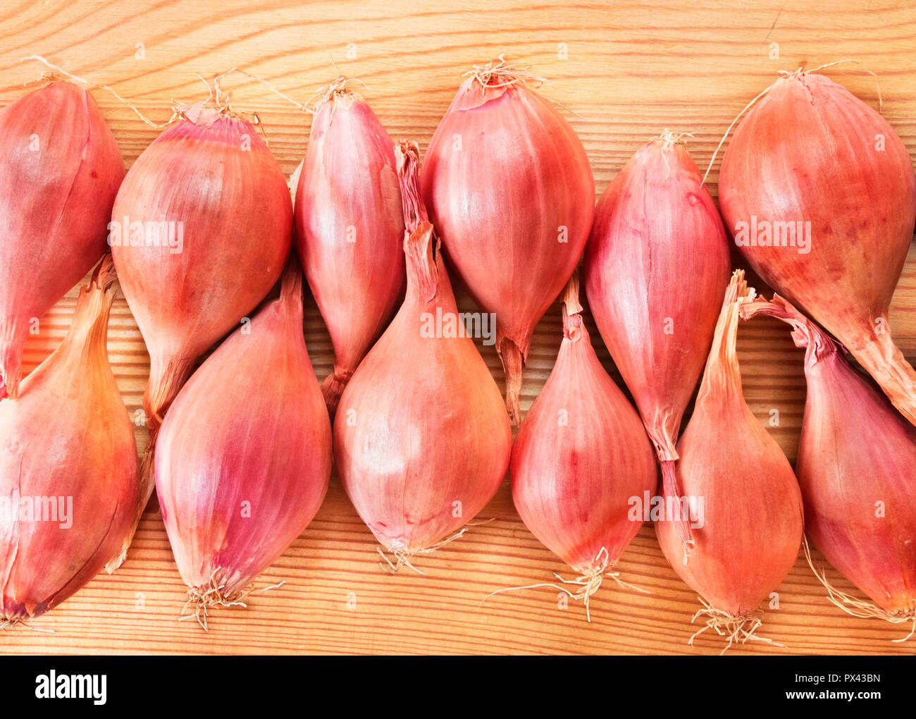 Eine schöne Reihe von schalotten auf einem Holzbrett, hell und Kupfer Farbe Lampen, Ansicht von oben, studio Shot, geometrischen Zusammensetzung Stockfoto