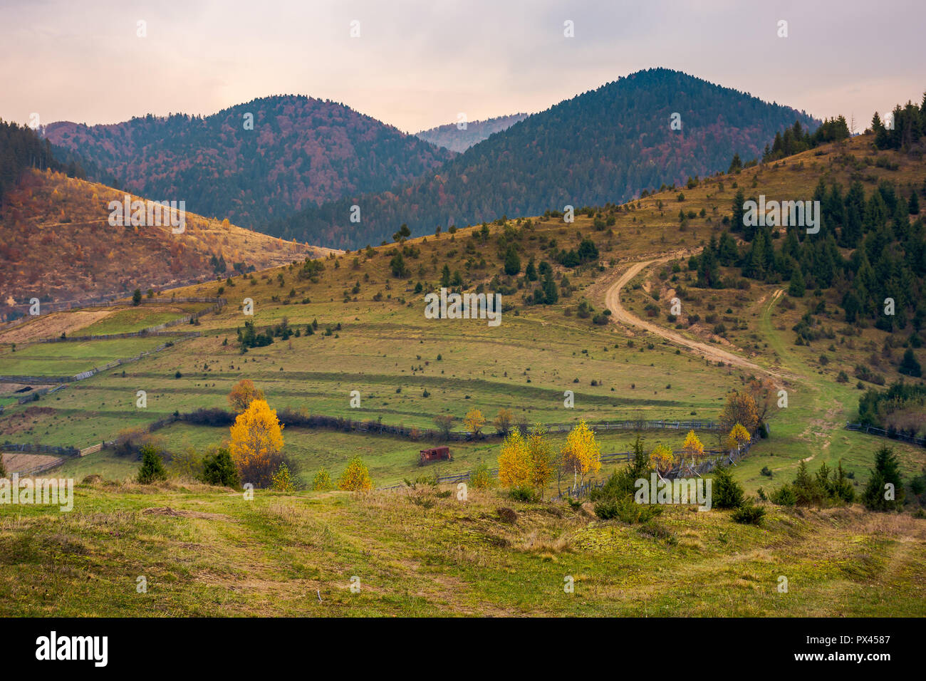 Herbstliche Landschaft in den Bergen. langweilig bewölkten Herbst Wetter. Land Straße windet bergauf in den Wald Stockfoto