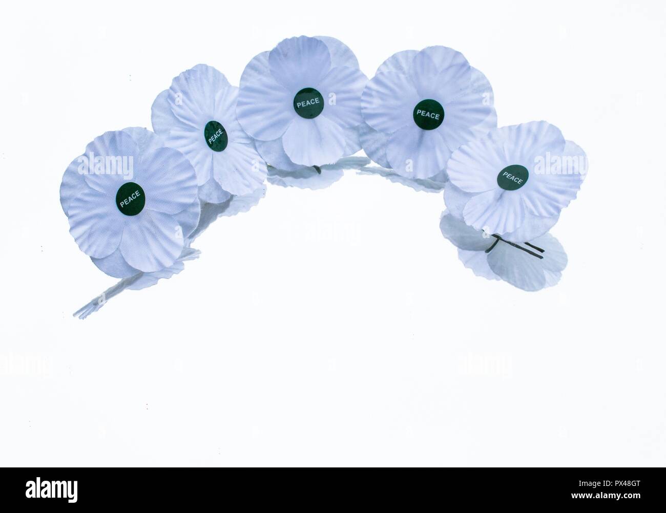 UK Mohnblumen Pin 2022 – Gedenk-Anstecker Aus Ema Produktbild-Vorschau 1