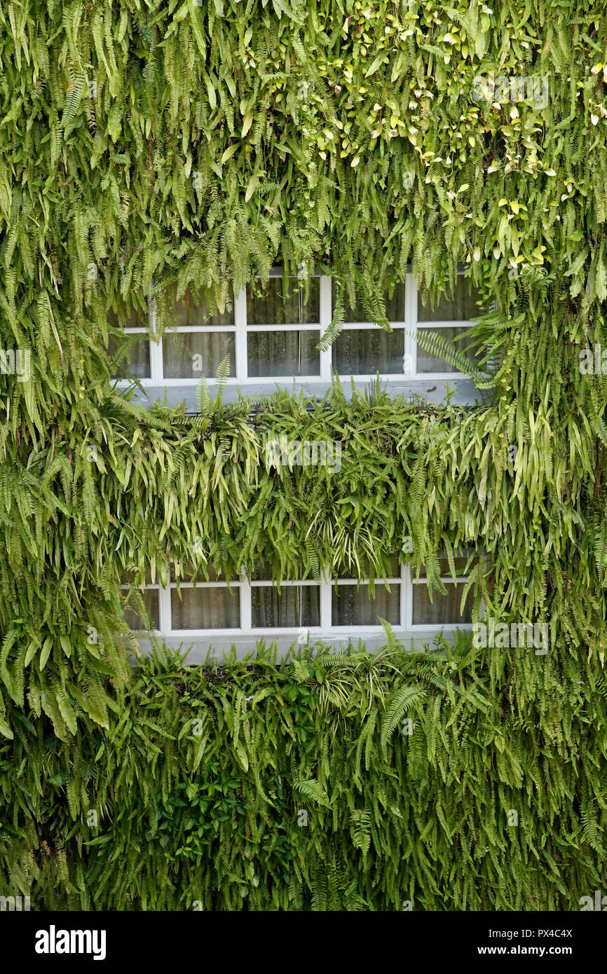 5 sterne Hotel Rex. Vegetal Wand. Ho Chi Minh City. Vietnam. Stockfoto