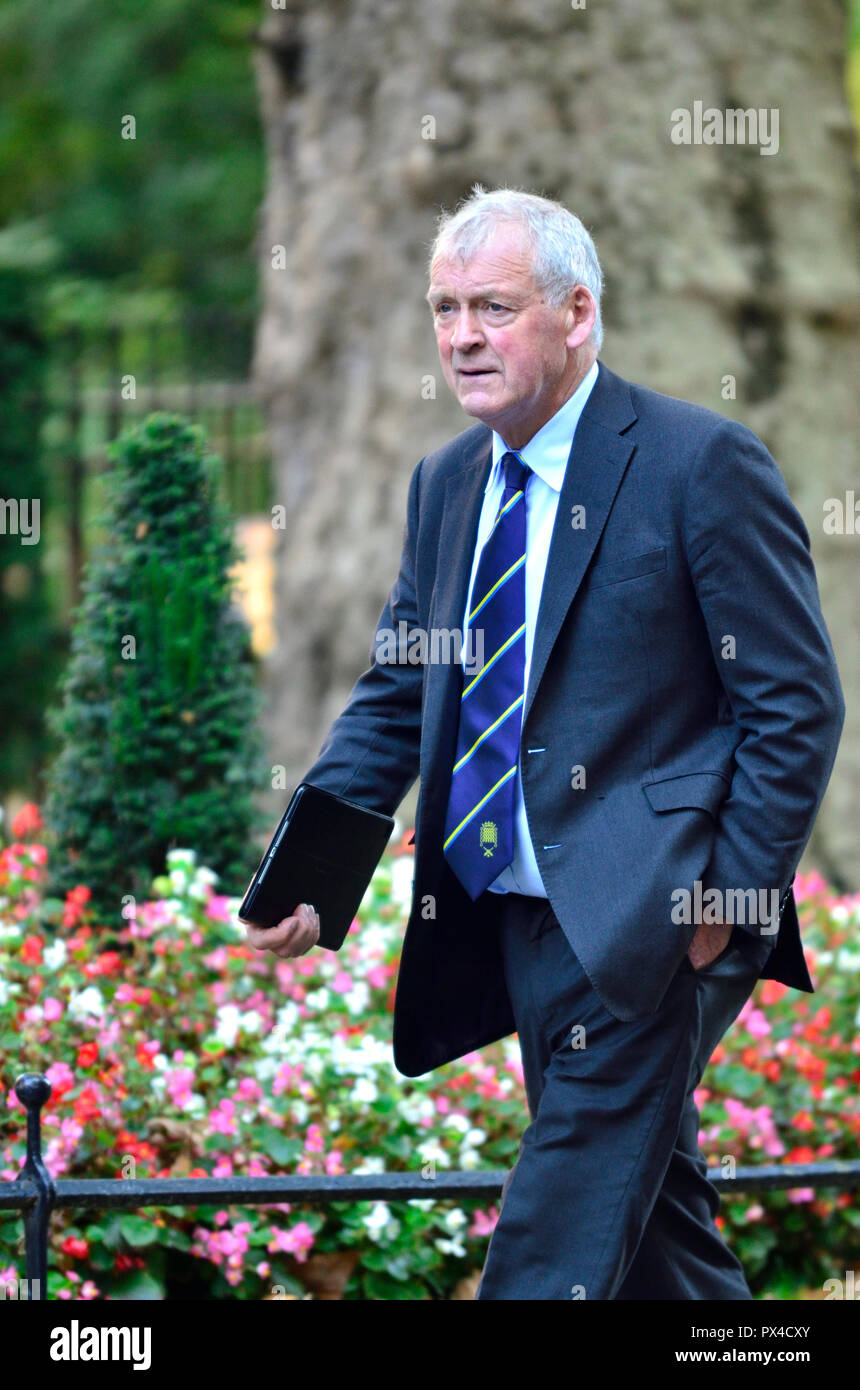 Glyn Davies MP (Con: Montgomeryshire) kommt während einer langen kabinettssitzung zu discus Brexit, Downing Street 16. Oktober 2018 Stockfoto