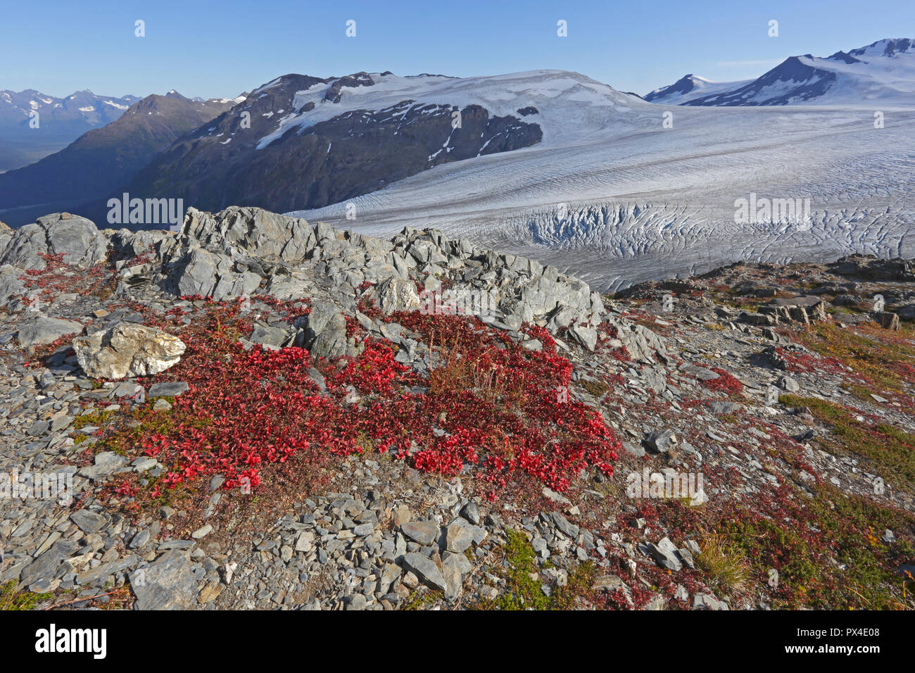 Ansicht des Harding Eis Feld aus der Trail Seward Alaska Stockfoto