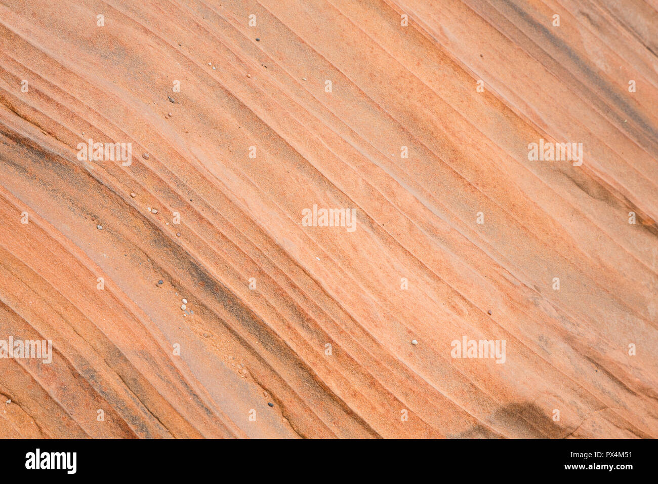 Page, AZ, USA. Detailansicht der Textur von Desert Rock Formationen. Stockfoto