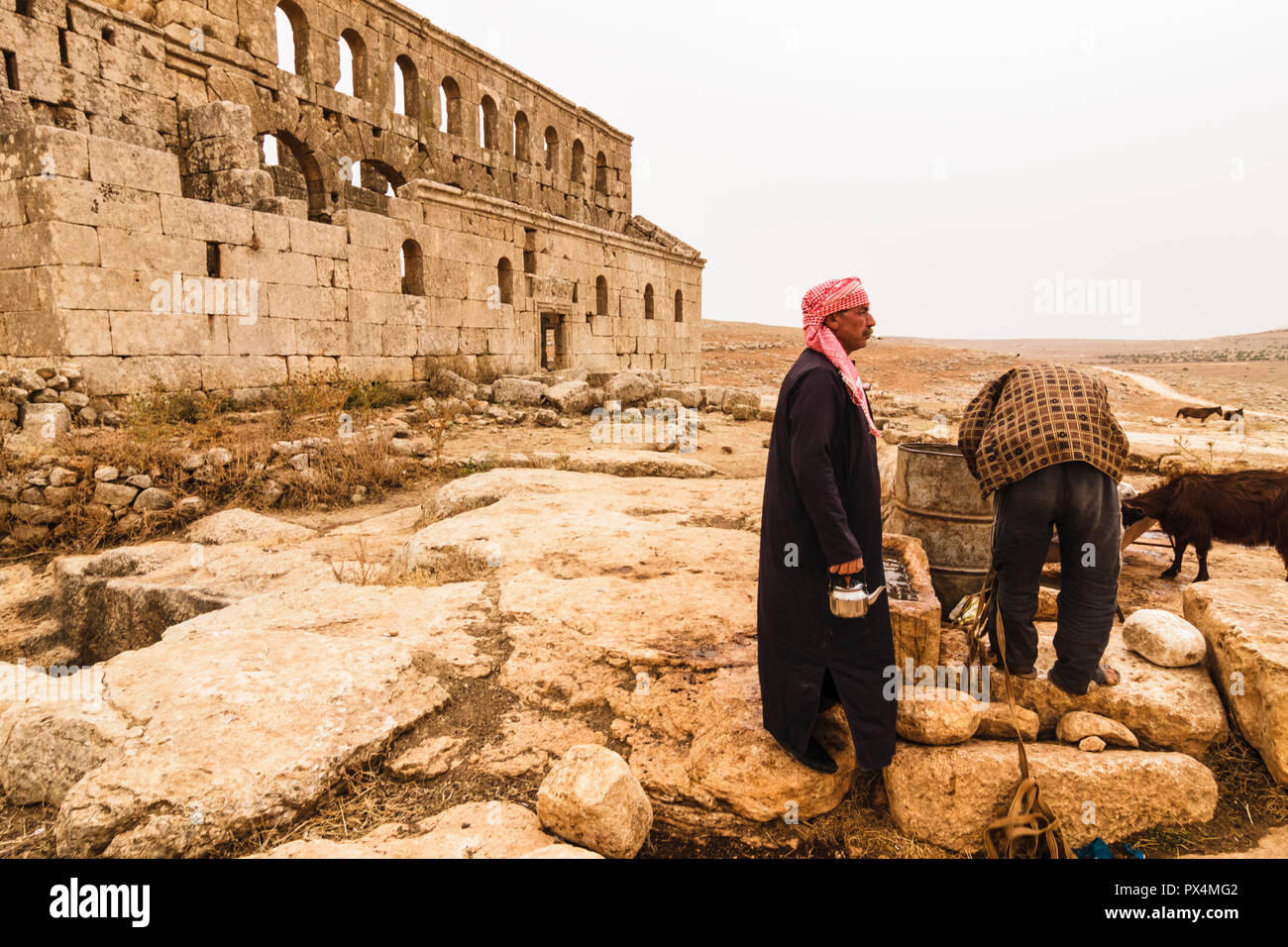 Mushabbak, Aleppo, Syrien: Beduinen Männer Wasser sammeln sammeln Wasser aus einem Brunnen durch die Ruinen der byzantinischen Kirche des 5. Jahrhunderts al-Mushabak. Es ist s Stockfoto