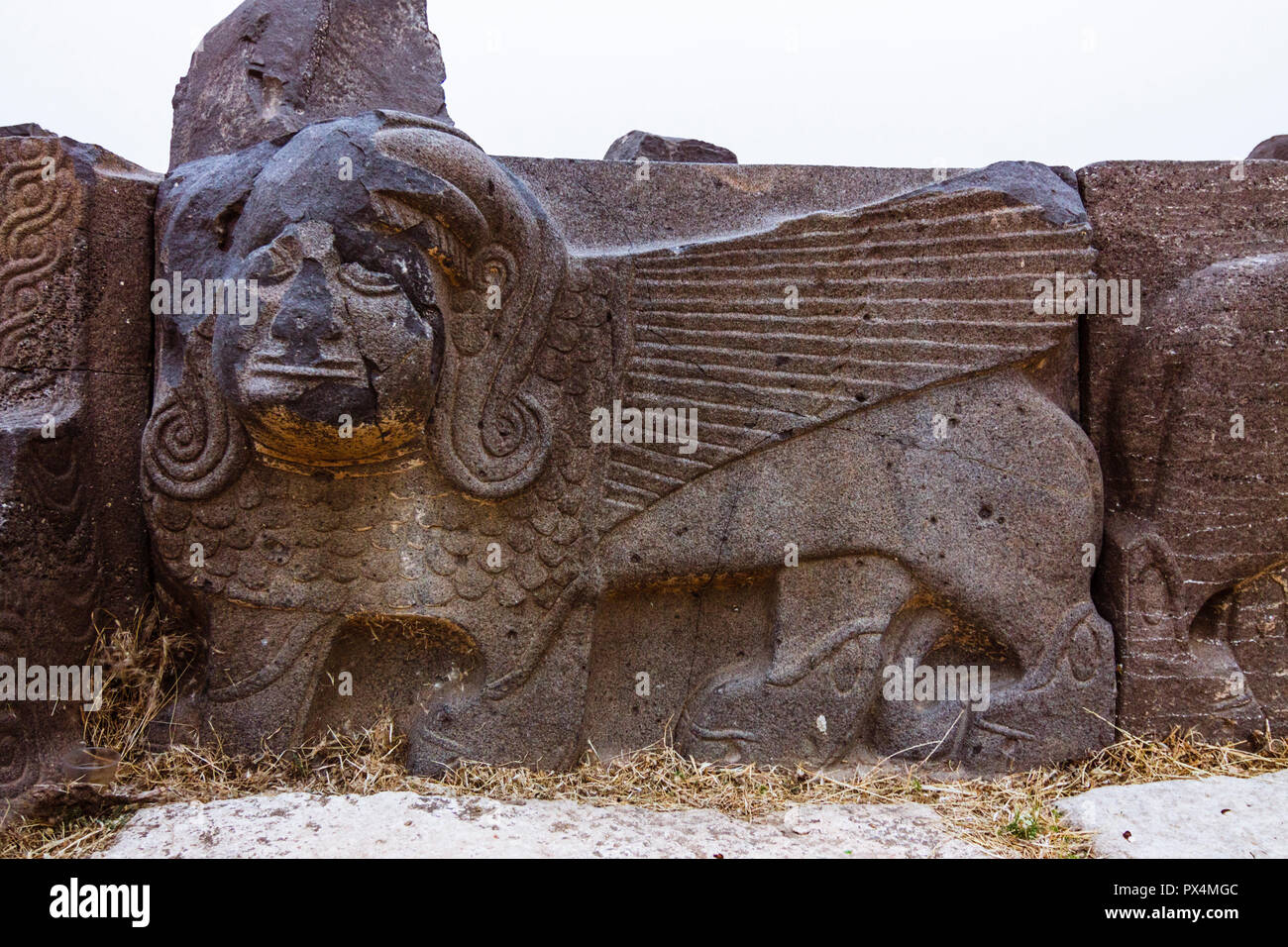 Ain Dara, Afrin, Syrien: Basalt Sphinx auf den Ruinen der hethitischen Tempel von Ain Dara, 67 km nordwestlich von Aleppo. Am Anfang der Etablierten Stockfoto