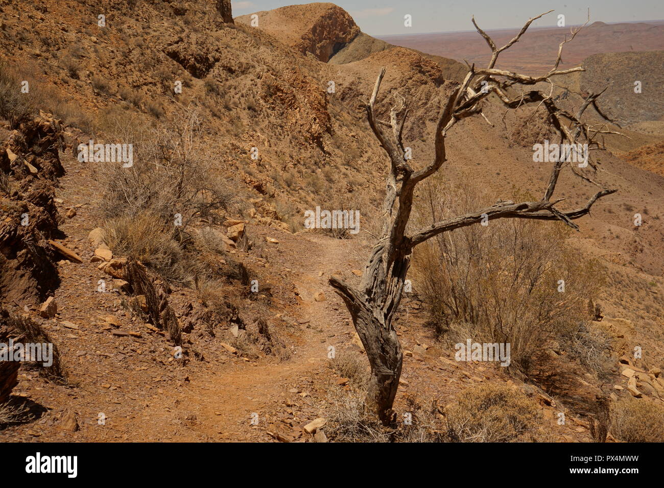 Wanderweg, OliveTrail, Naukluft Gebirge, Namib-Naukluft Park, Namibia, Afrika/Namib-Naukluft-Nationalpark Stockfoto