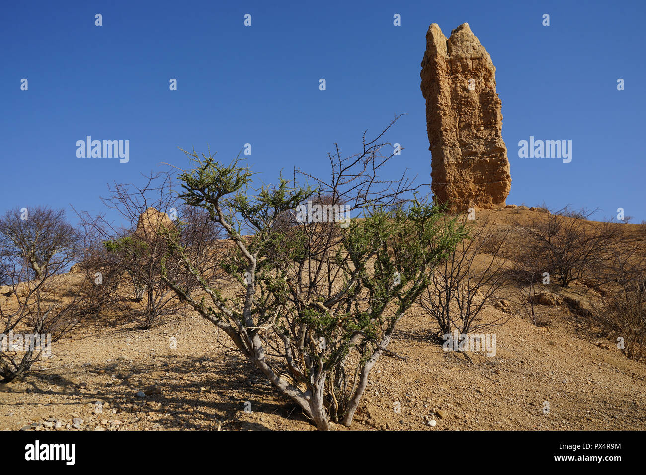 Fingerklippe, Ugab Tal, Ugab Terrassen, Republik Namibia, Afrika Stockfoto