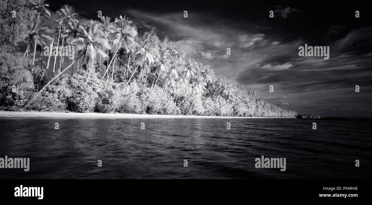 Tropischer Strand mit Palmen auf Kei Kecil Insel Maluku, Indonesien Stockfoto