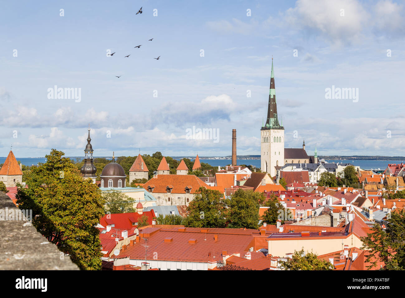 Stadtbild von Talinn in Estland Stockfoto