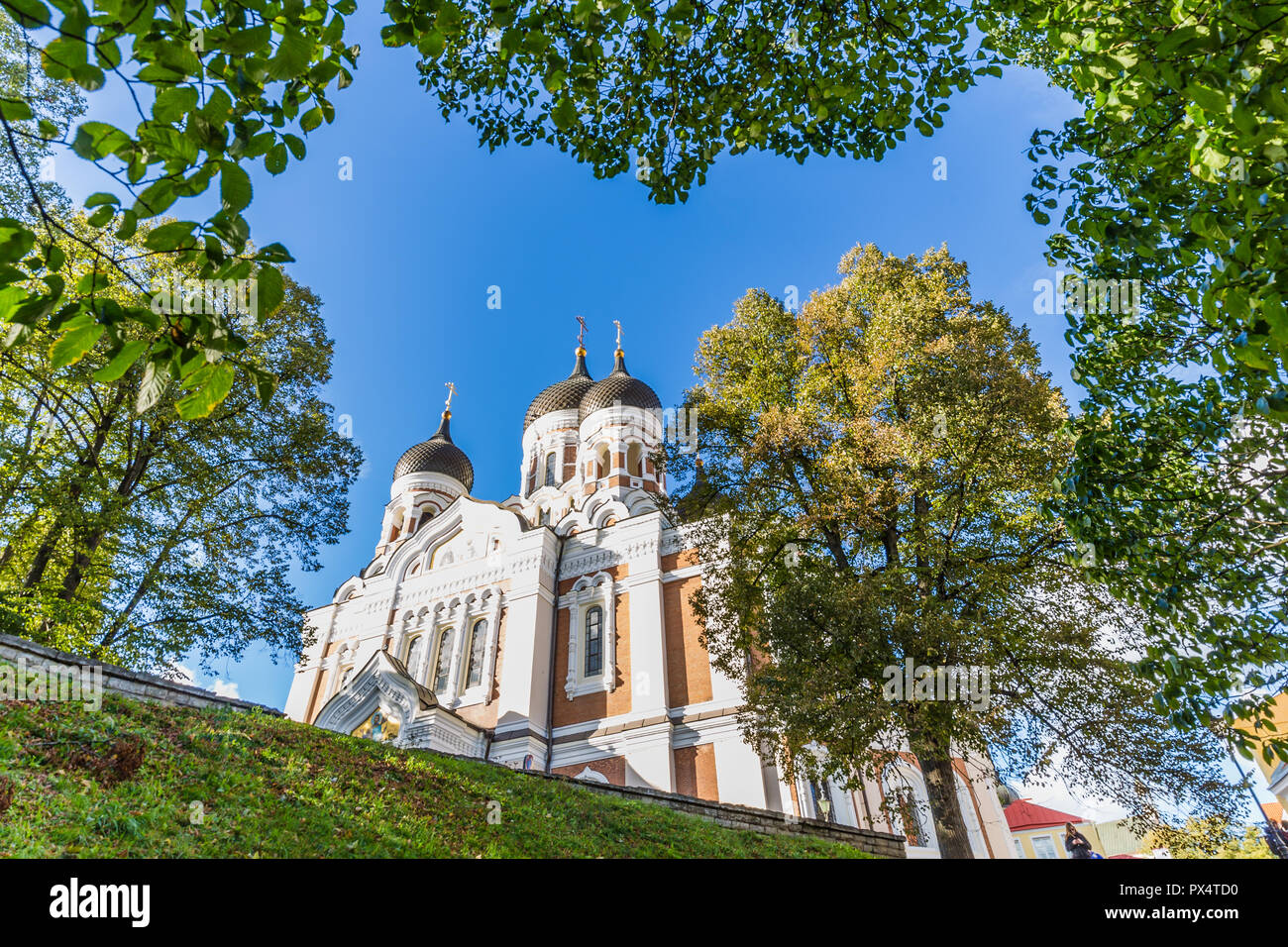 Alexander Nevski Kathedrale, Tallinn in Estland Stockfoto