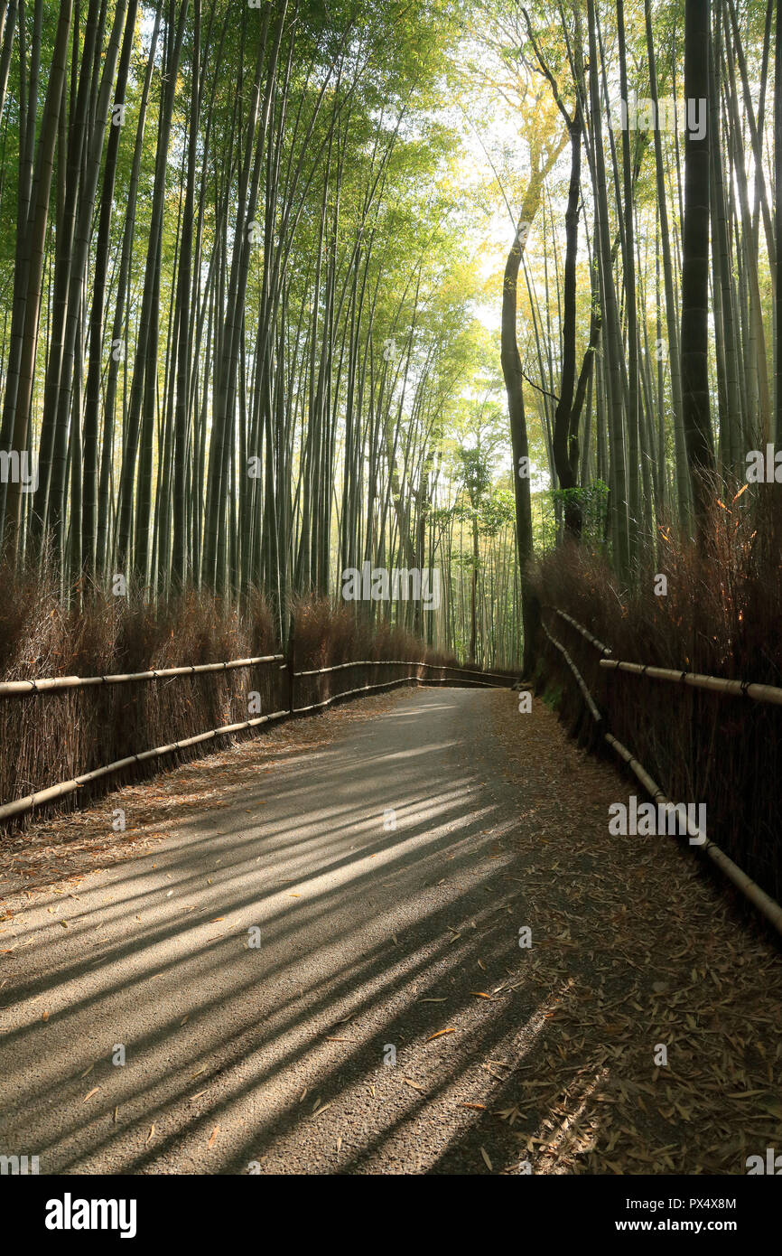 Bambus Straße in Kyoto, Arashiyama Stockfoto