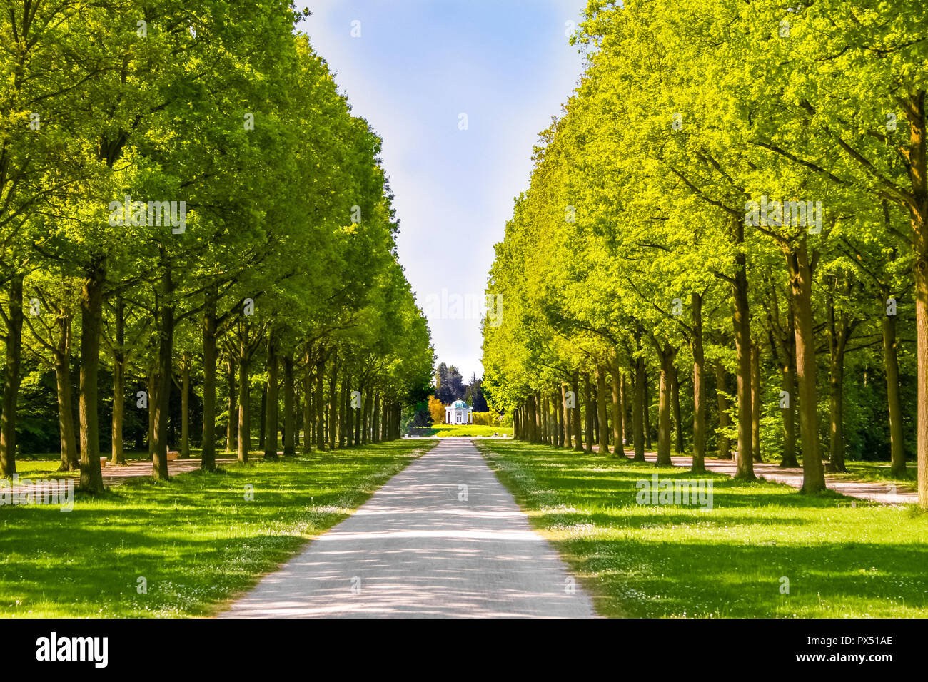 Ein großer Baum Allee, die zu einem großen Becken, bestehend aus der Schwaneninsel (Swan Island) mit seinem kleinen Tempel auf einem sonnigen Frühling im State Park... Stockfoto