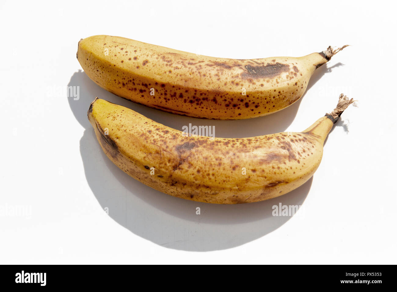 Eine Nahaufnahme von zwei reife, gelbe Bananen nebeneinander auf einem isolierten weißen Hintergrund Stockfoto
