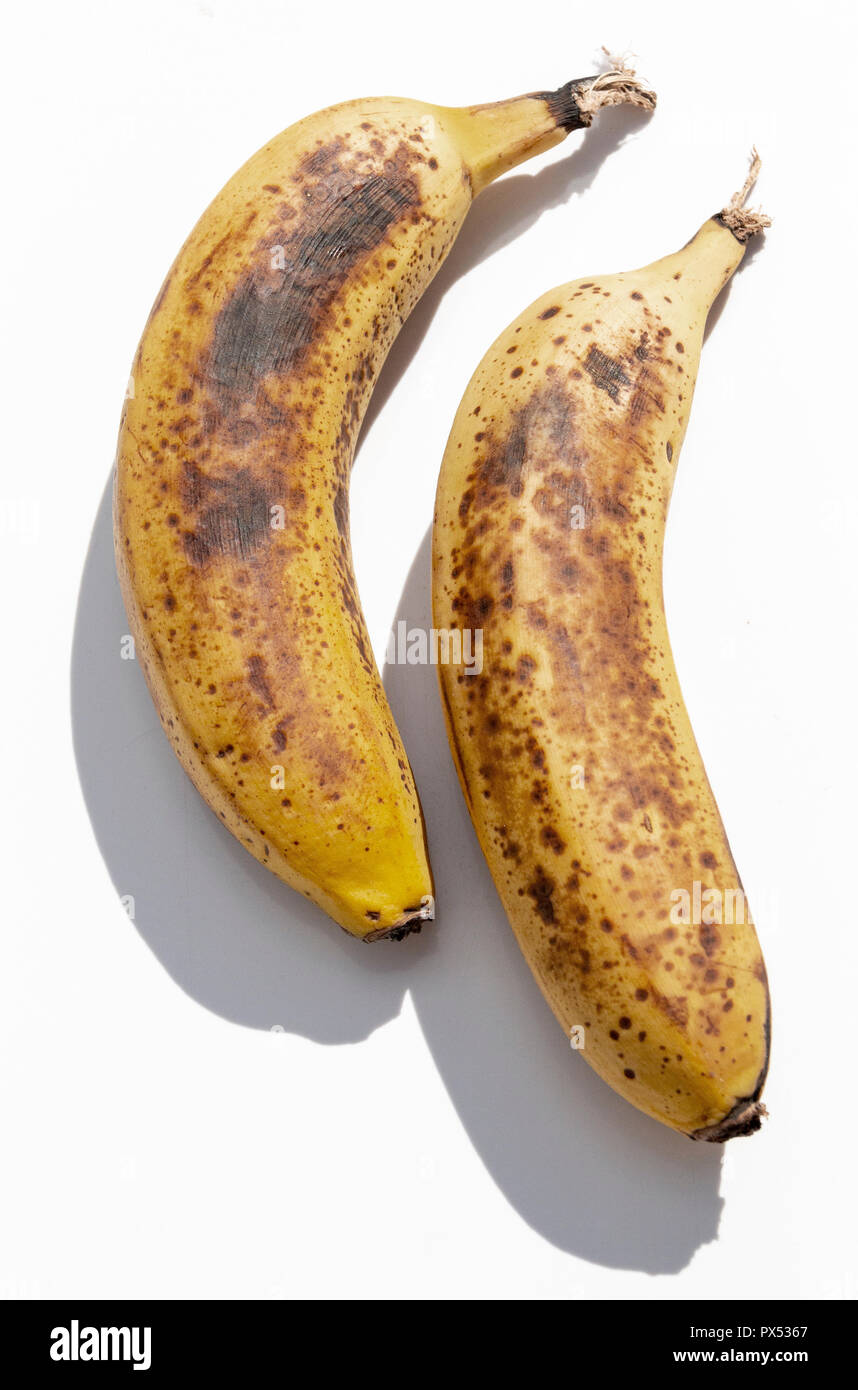 Eine Nahaufnahme von zwei reife, gelbe Bananen nebeneinander auf einem isolierten weißen Hintergrund Stockfoto