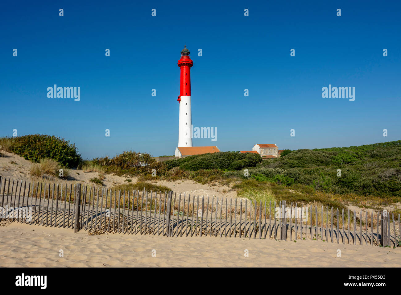 Leuchtturm von La Coubre (Phare de la Coubre), La Tremblade, Charente Maritime, Nouvelle-Aquitaine, Frankreich Stockfoto