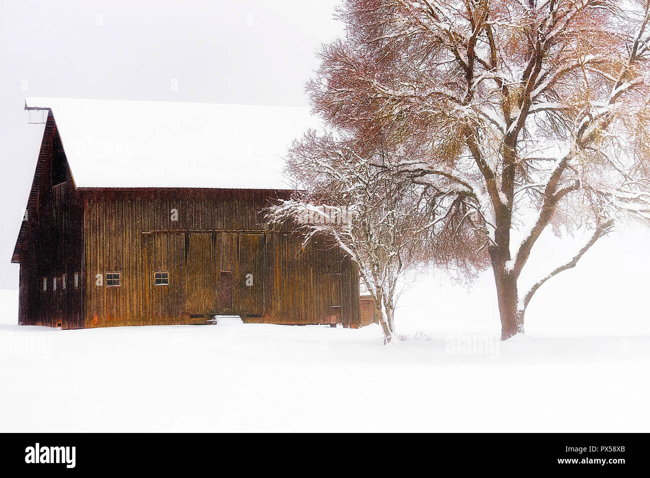 Schnee fällt in diesem schönen Land, einer Scheune und einem Reifen Schwingen an einem Baum befestigt. Stockfoto