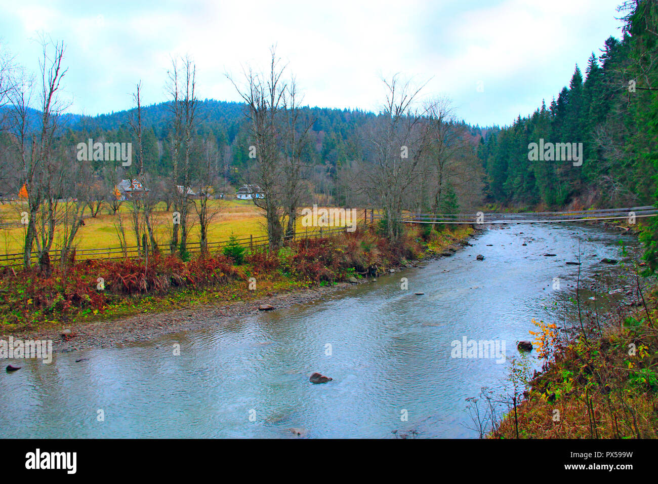 Mountain River zwischen Dorf und grünen Wald fließt. Wunderschöne natürliche Landschaft. Panorama mit Wald Fluss. Bergige Fluss in der Nähe von ukrai Stockfoto