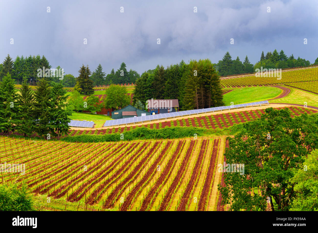 Dundee, Oregon, USA - Mai 18,2015: Weinberge deckt den Dundee Rolling Hills, wo Solar Panels auch die Ernte der Sonnenenergie in Dundee, Erz platziert werden Stockfoto