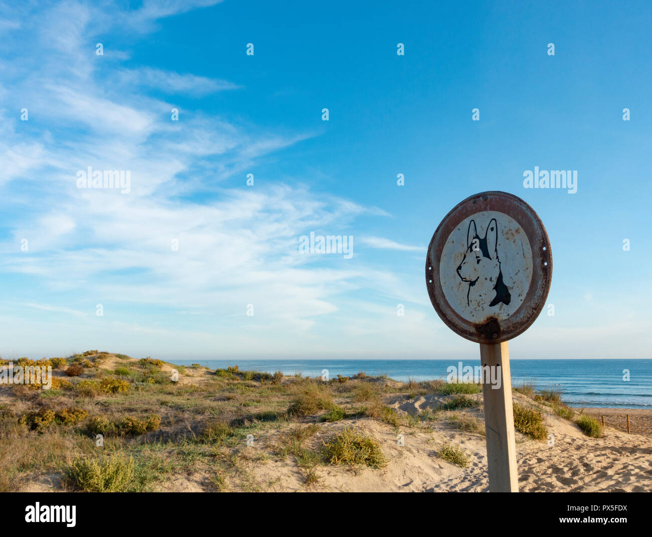 Keine Hunde am Strand Stockfoto