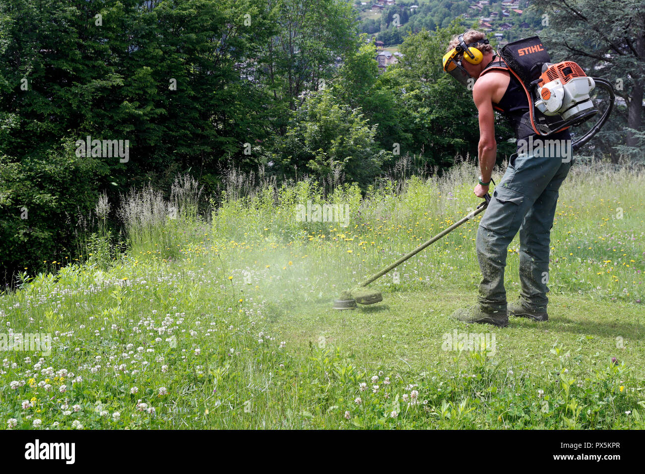 Gardner schneiden das Gras kurz mit brushcutter. Frankreich. Stockfoto