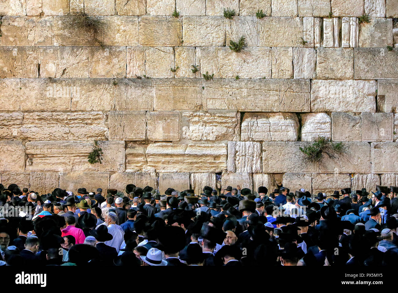 Gebet an der westlichen Wand während Pessach Festival. Jerusalem, Israel. Stockfoto