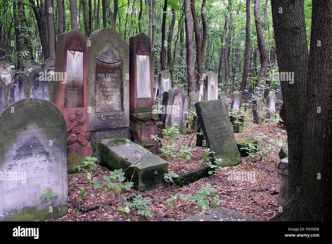 Okopowa Straße jüdischer Friedhof in Warschau, Polen Stockfotografie