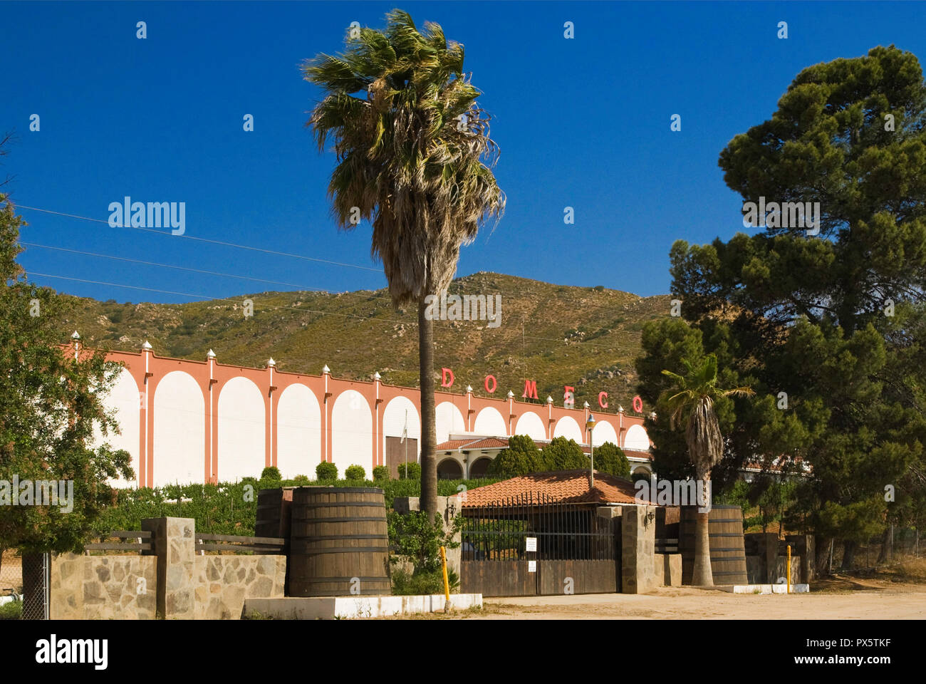 Monte Xanic Weingut im Valle de Guadalupe, Ruta del Vino, Baja California, Mexiko Stockfoto