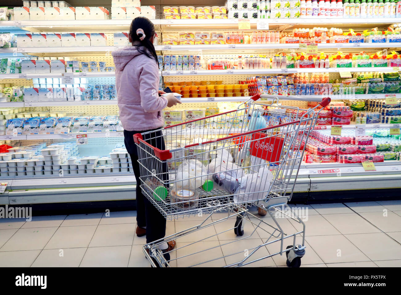 Frau im Supermarkt, auf der Suche nach frischen Joghurt. Dalat. Vietnam. Stockfoto