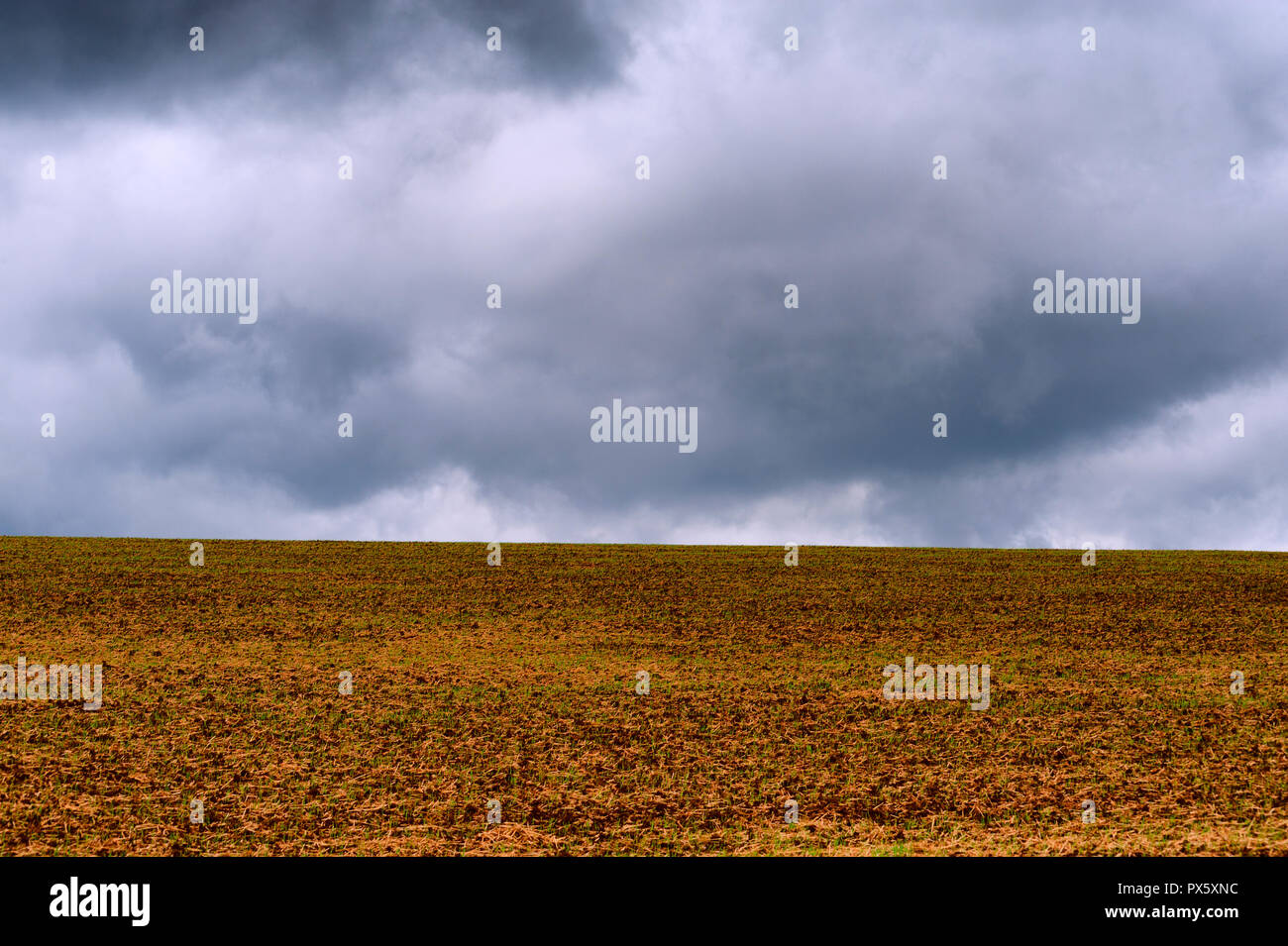 Einem Hügel Feld unter bewölktem Himmel im minimalistischen Kulturlandschaft. Stockfoto