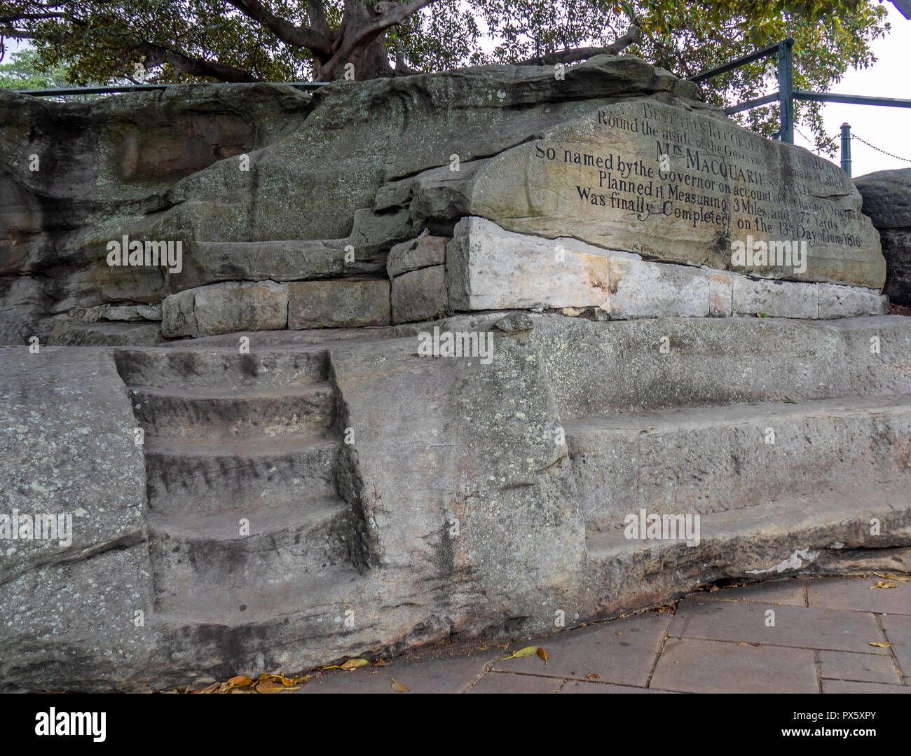 Mrs Macquaries Chair und Schritte geschnitzt in Sandstein durch Sträflinge in den Königlichen Botanischen Garten Sydney, NSW, Australien. Stockfoto