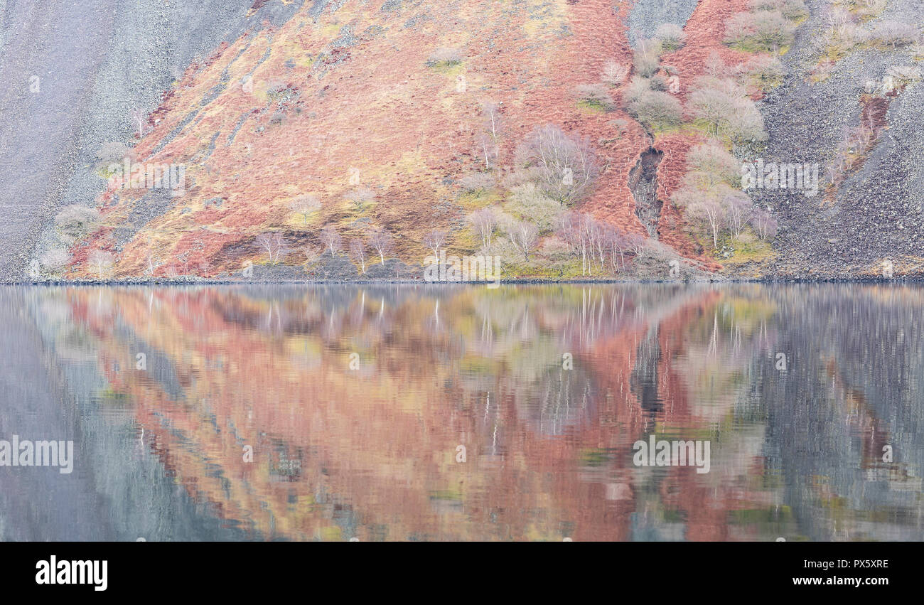 Bäume auf den Geröllfeldern an Wasdale widerspiegelt Stockfoto