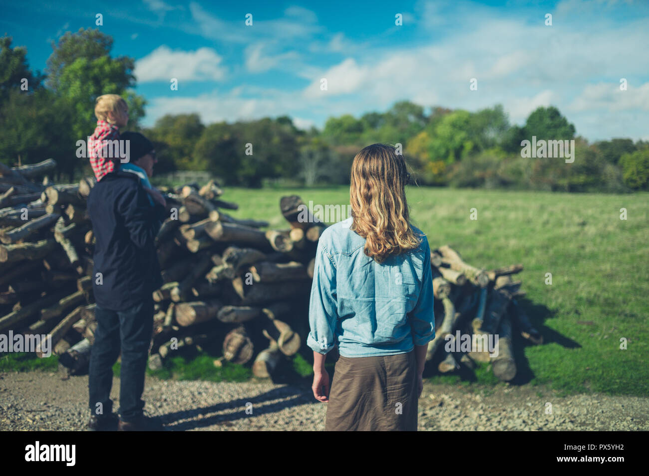 Mit mehreren Generationen Familie ist auf der Suche nach einige Protokolle im Wald Stockfoto