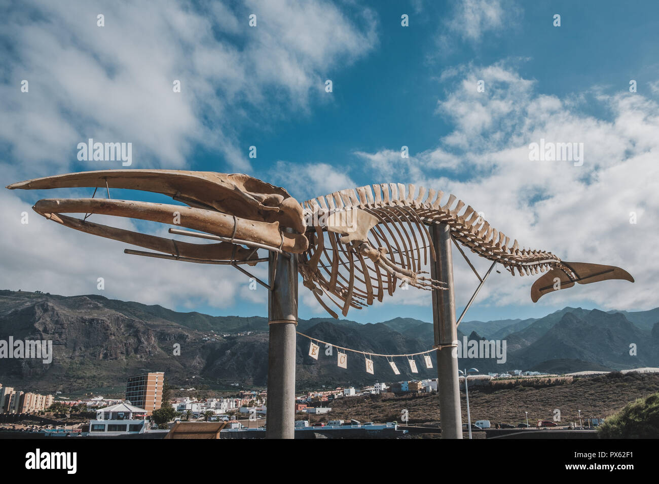 Teneriffa, Spanien - September 2018: Whale Skelett in Los Silos auf Teneriffa, Kanarische Inseln Stockfoto
