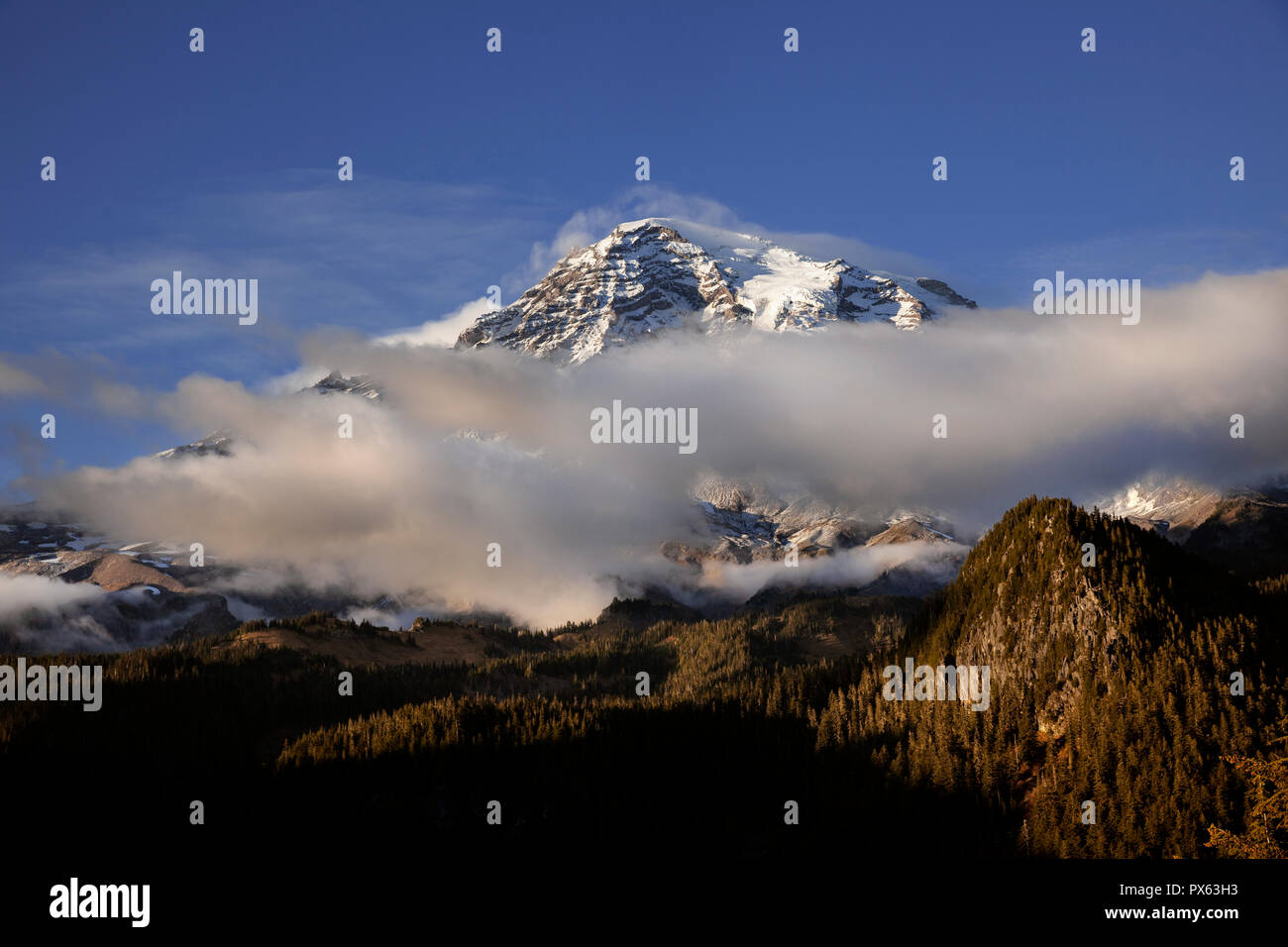 WA 14977-00 ... WASHINGTON - Mount Rainier gesehen von Longmire-Paradise Ricksecker Punkt entlang der Straße im Mount Rainier National Park. Stockfoto