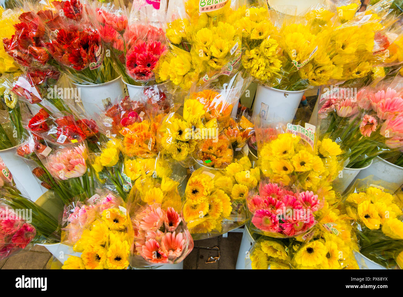 Blumenmarkt auf der Flower Market Road, Mongkok, Kowloon, Hong Kong, China. Stockfoto