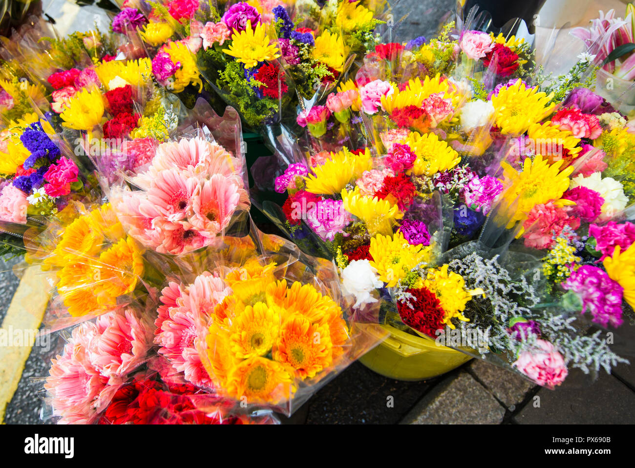 Blumenmarkt auf der Flower Market Road, Mongkok, Kowloon, Hong Kong, China. Stockfoto