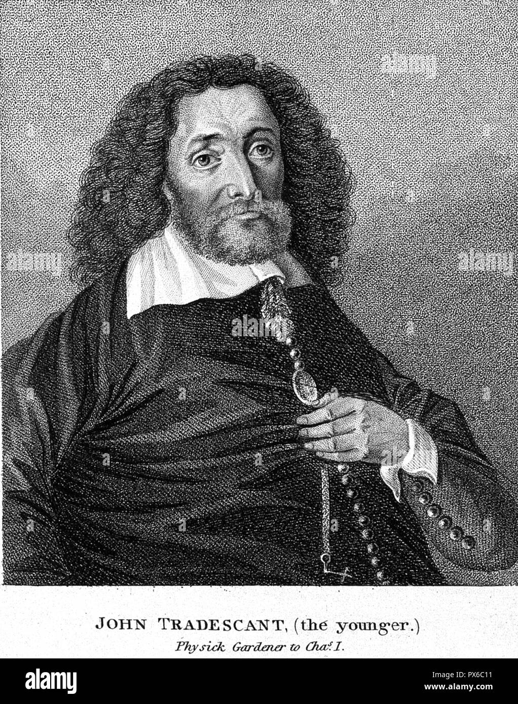 John tradescant the younger Fotos und Bildmaterial in hoher Auflösung