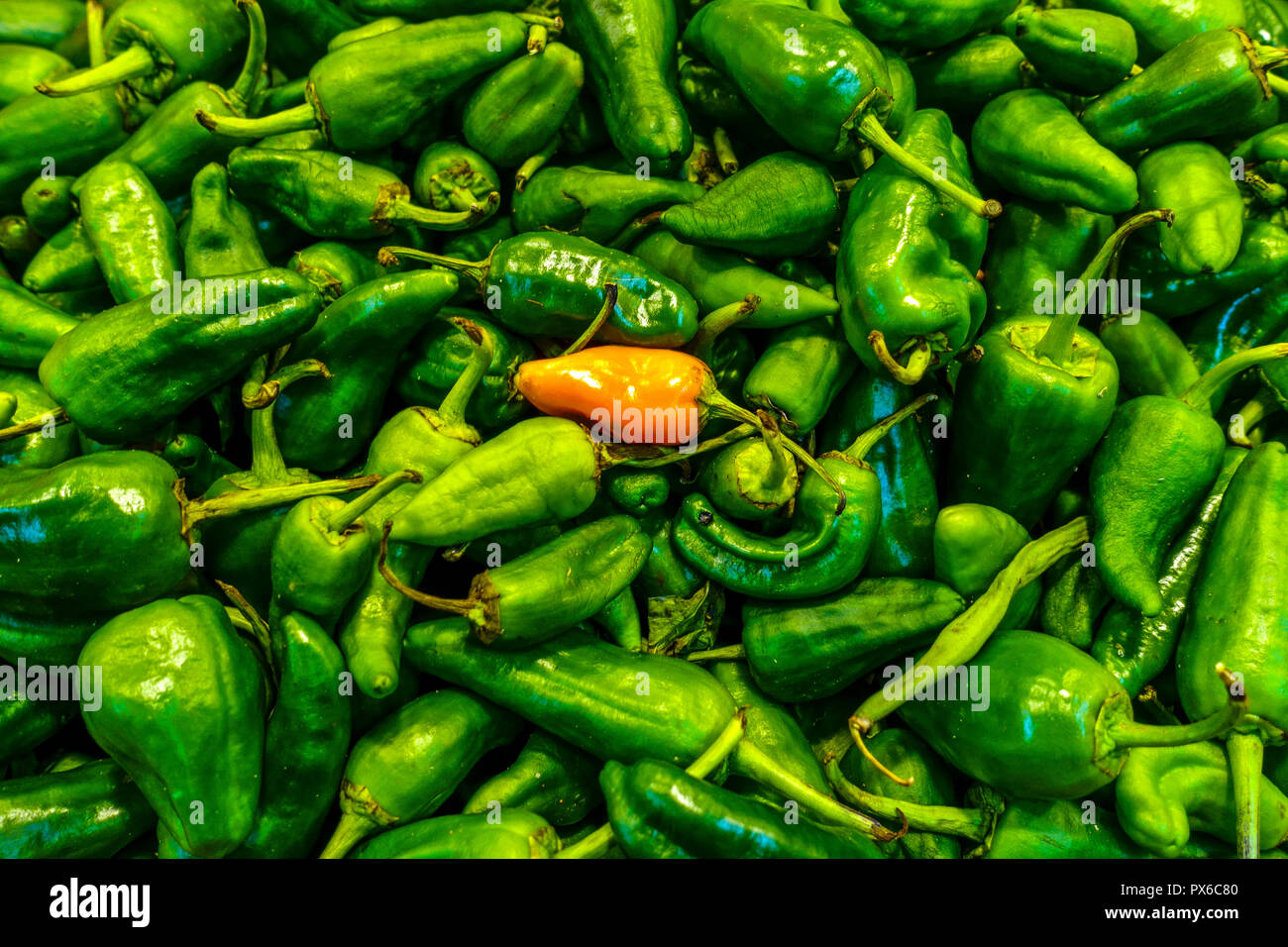 Eine rote Paprika unter grünen auf dem Markt in Palma de Mallorca Stockfoto